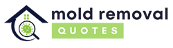 Mold Removal Solutions